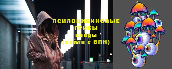 прущий лед Арсеньев