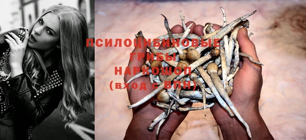 прущий лед Арсеньев